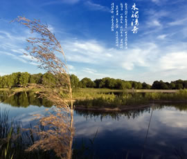新義水鄉(xiāng)中醫(yī)藥浴康養(yǎng)、黃龍溪古鎮(zhèn)二日游