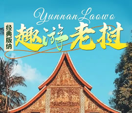 【趣游老撾 · 經(jīng)典版納】—昆明、普洱、西雙版納、磨丁、瑯勃拉邦四動(dòng)8日游